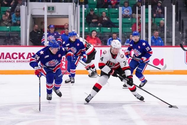 Belleville Senators centre Stephen Halliday vs. the Rochester Americans