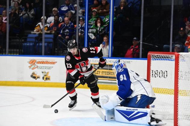 Belleville Senators right wing Xavier Bourgault vs. the Rochester Americans