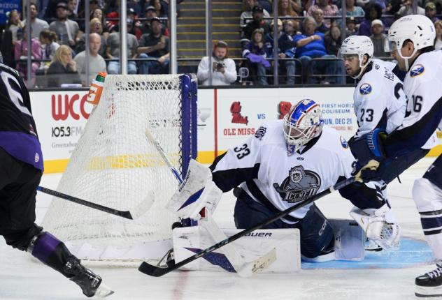 Jacksonville Icemen goaltender Scott Ratzlaff