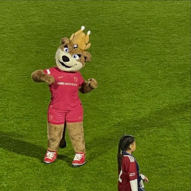 North Carolina Courage mascot Roary