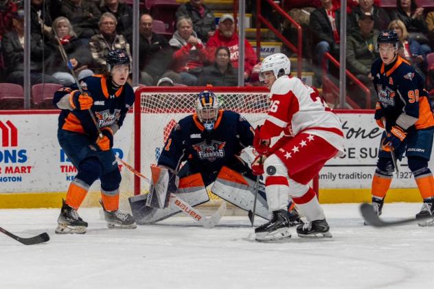Flint Firebirds goaltender Mason Vaccari vs. the Soo Greyhounds