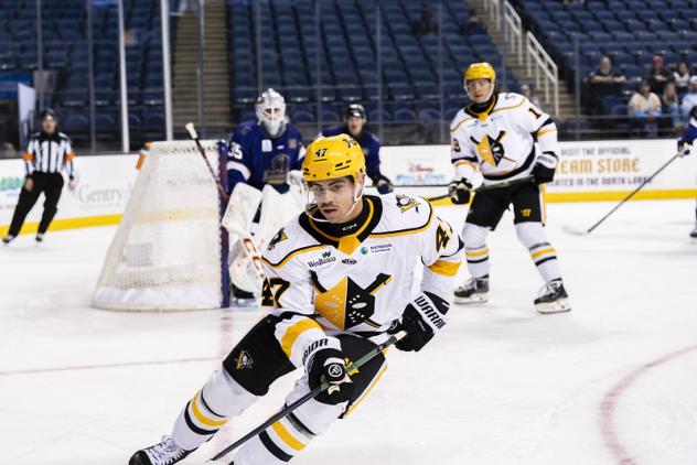 Wheeling Nailers forward Jordan Kaplan