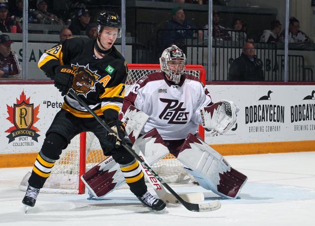 Peterborough Petes goaltender Easton Rye vs. the Brantford Bulldogs