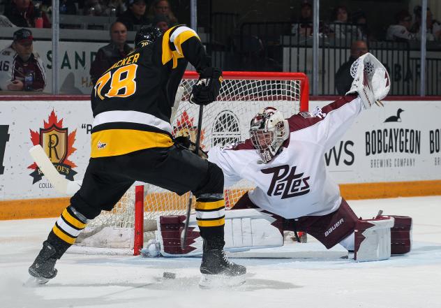 Peterborough Petes goaltender Easton Rye vs. the Brantford Bulldogs
