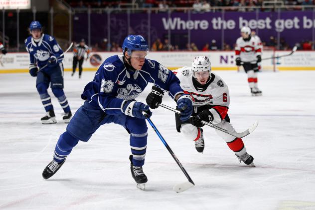 Syracuse Crunch defenseman Maxim Groshev vs. the Charlotte Checkers