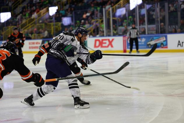Florida Everblades forward Oliver Chau
