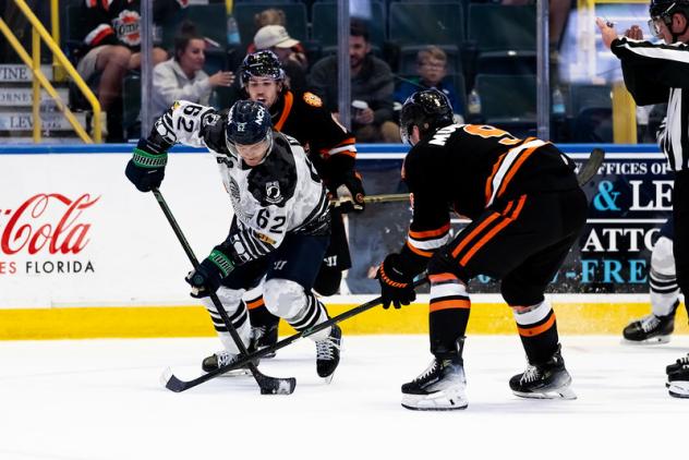 Florida Everblades forward Logan Will (left)