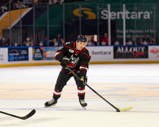 Adirondack Thunder defenseman Jeremy Hanzel