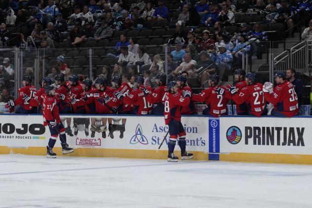 South Carolina Stingrays celebrate a goal along the bench