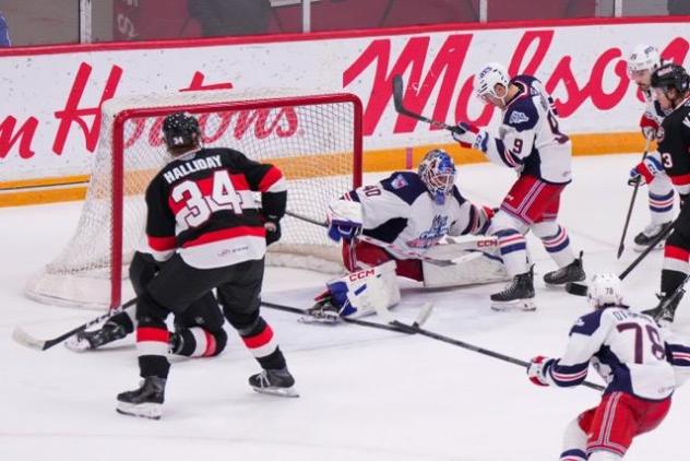 Belleville Senators centre Stephen Halliday in front of the Hartford Wolf Pack net