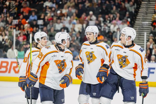 Greenville Swamp Rabbits on game night