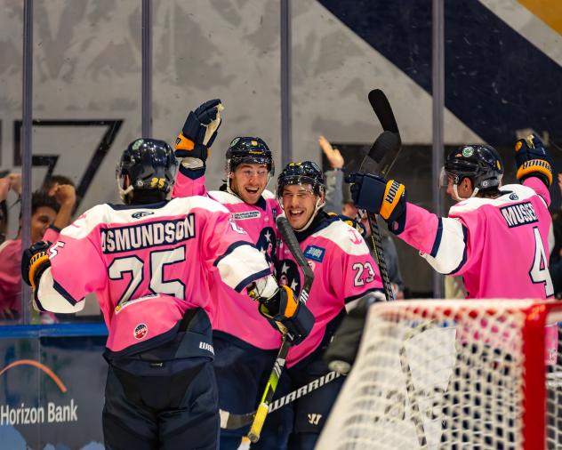 Norfolk Admirals on game night