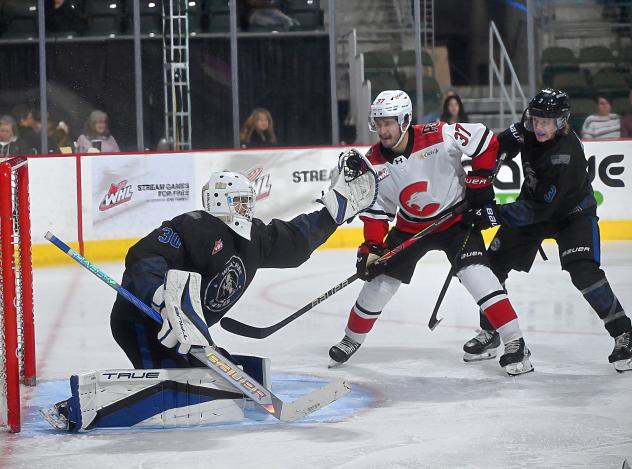 Wenatchee Wild's Cal Conway and Joshua Toll and Prince George Cougars' Jett Lajoie in action