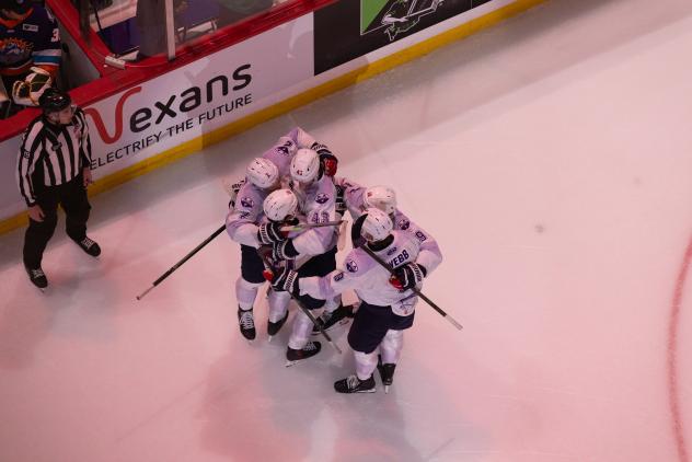 South Carolina Stingrays celebrate a goal