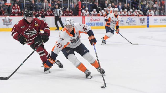 Flint Firebirds forward Alex Kostov