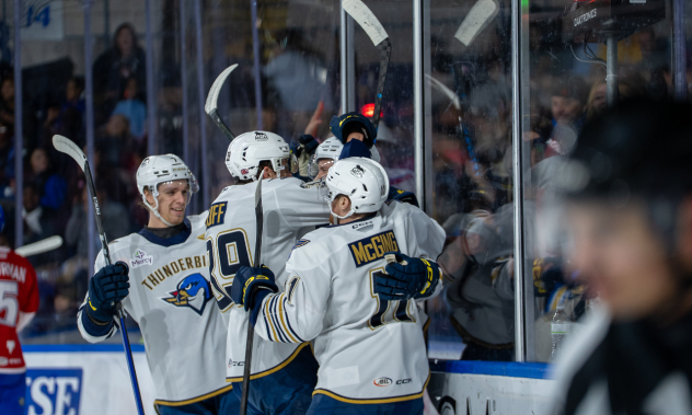 Springfield Thunderbirds celebrate a goal