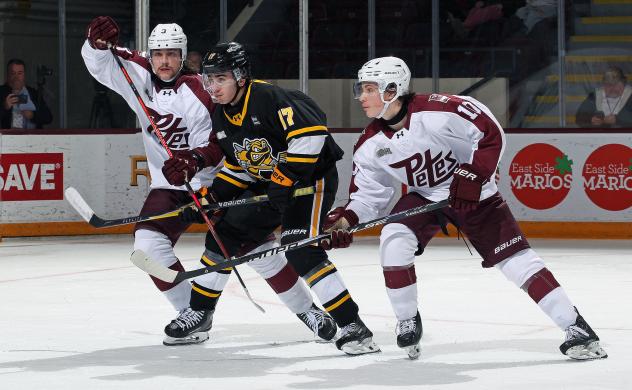 Peterborough Petes defenceman Thanasi Marentette and centre Adam Levac vs. the Sarnia Sting