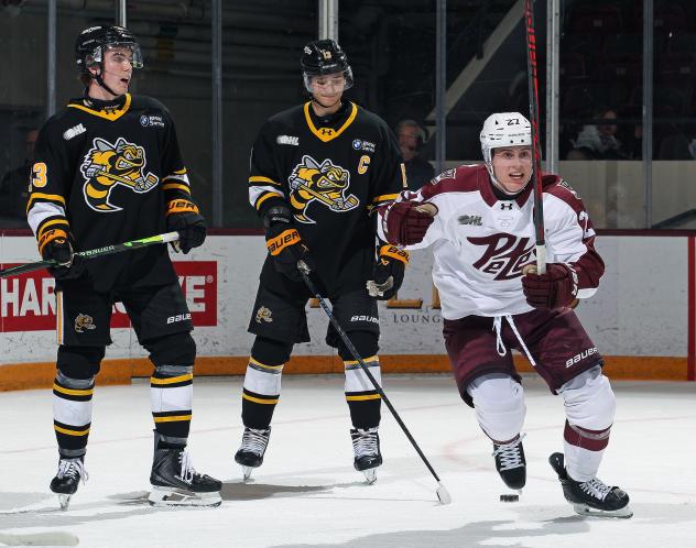 Peterborough Petes centre Colin Fitzgerald reacts after his goal against the Sarnia Sting