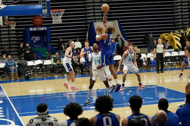 Delaware Blue Coats forward Marcus Bagley shoots against the Greensboro Swarm