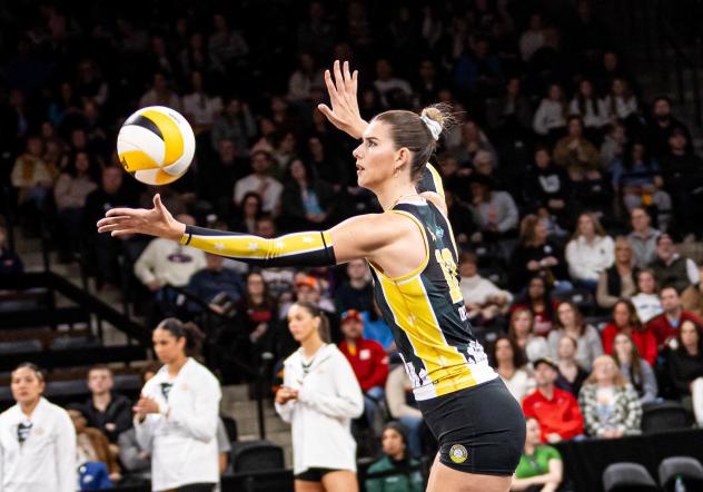 Middle Blocker Berkeley Oblad