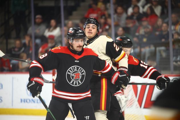 Rapid City Rush center Chaz Smedsrud