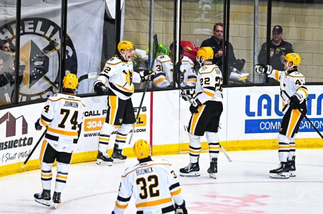 Wheeling Nailers react following a goal