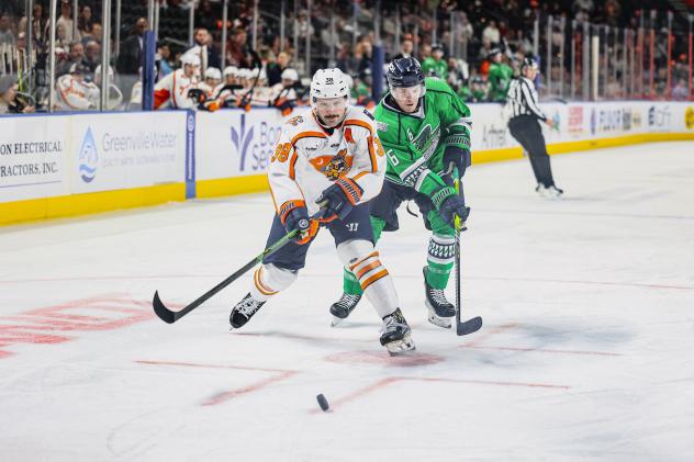 Greenville Swamp Rabbits forward Cam Hausinger vs. the Florida Everblades