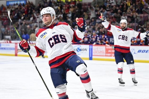 South Carolina Stingrays react after a goal