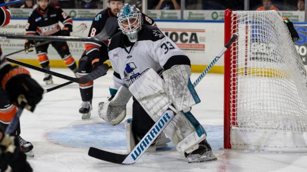 Wichita Thunder goaltender Matt Davis
