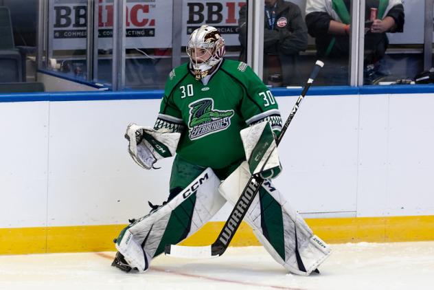 Florida Everblades goaltender David Tendeck