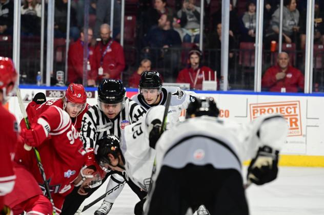Allen Americans battle the Idaho Steelheads