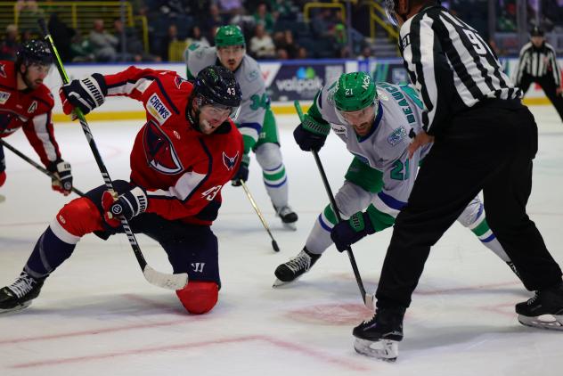 South Carolina Stingrays forward Patrick Guzzo (left) vs. the Florida Everblades