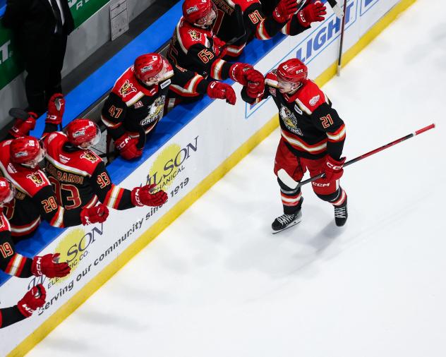 Grand Rapids Griffins center Ondrej Becher receives congratulations along the bench