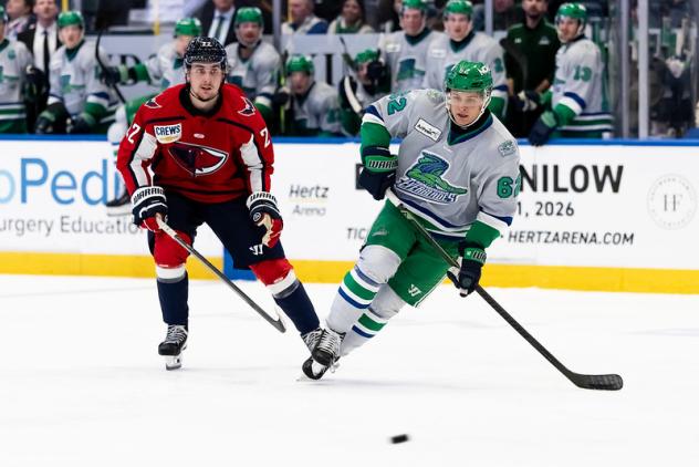 Florida Everblades forward Logan Will (right) vs. the South Carolina Stingrays