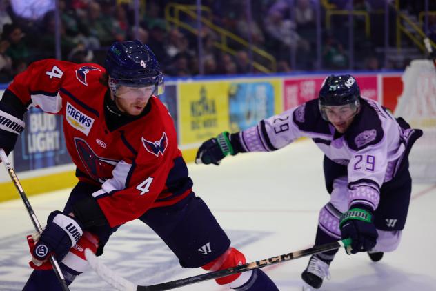 South Carolina Stingrays' Connor Mayor versus Florida Everblades' Anthony Romano