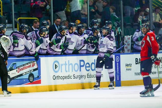 Florida Everblades' Anthony Romano congratulated by team