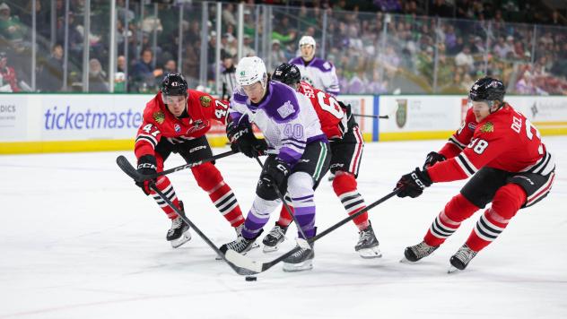 Texas Stars' Antonio Stranges battles Rockford IceHogs' Taige Harding, Ethan Del Mastro, and Brett Seney