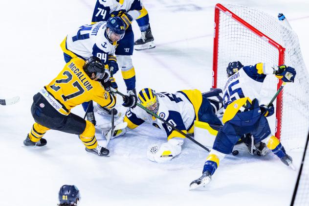 Norfolk Admirals goaltender Logan Stein sprawls to keep the puck out of the net