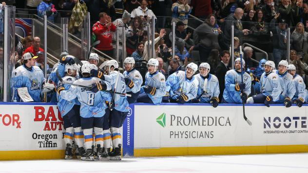 Toledo Walleye gather following a goal