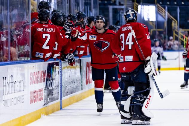 South Carolina Stingrays exchange fist bumps along the bench