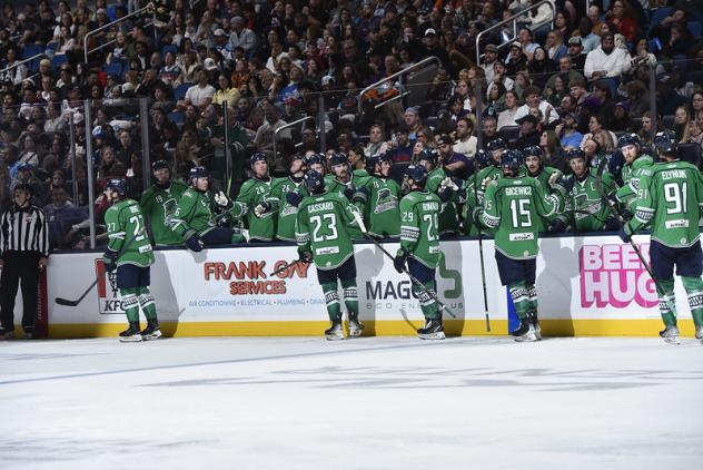 Florida Everblades exchange congratulations along the bench