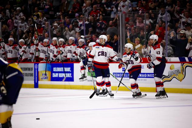 South Carolina Stingrays in action