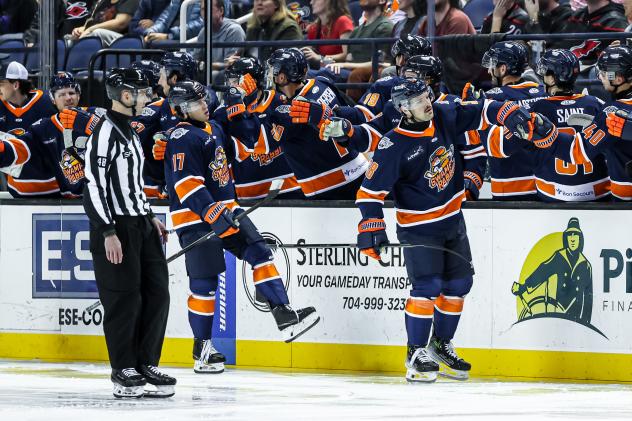 Greenville Swamp Rabbits give congratulations along the bench