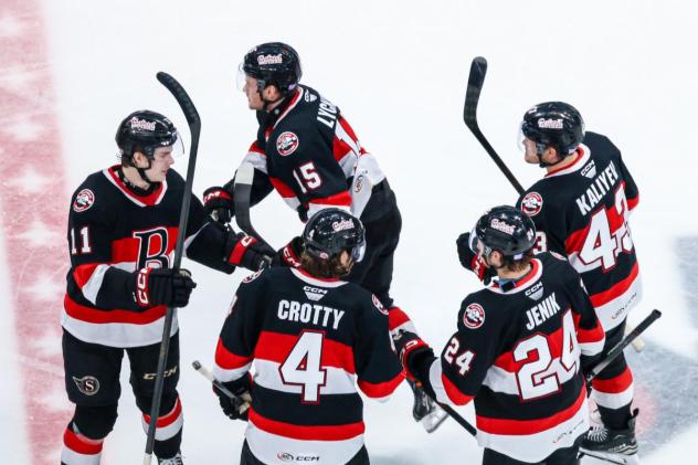 Belleville Senators gather after a goal against the Manitoba Moose