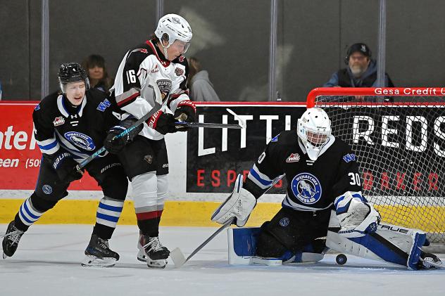Vancouver Giants centre Blake Chorney vs. the Wenatchee Wild
