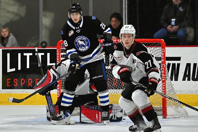 Vancouver Giants defenceman Ethan Mittelsteadt vs. the Wenatchee Wild