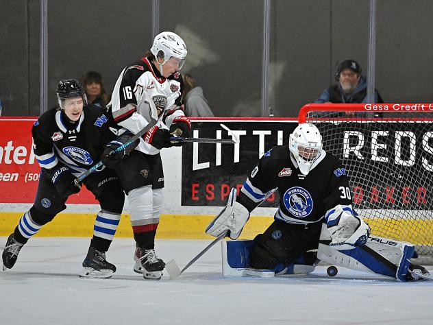 Wenatchee Wild goaltender Cal Conway