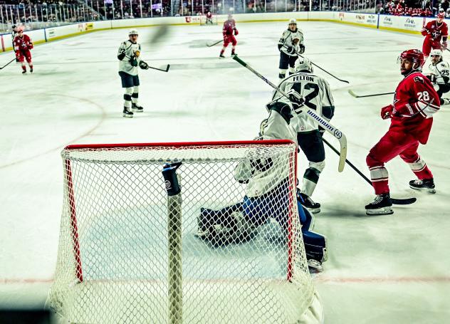 Allen Americans on the attack against the Utah Grizzlies