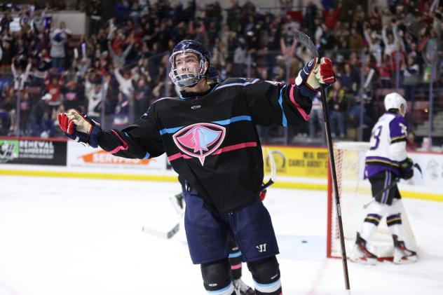 South Carolina forward Jalen Luypen after one of his goals