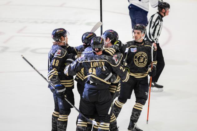 Adirondack Thunder gather following a goal